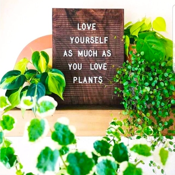 Meet your Posher, Sarah - Picture 1 of 1